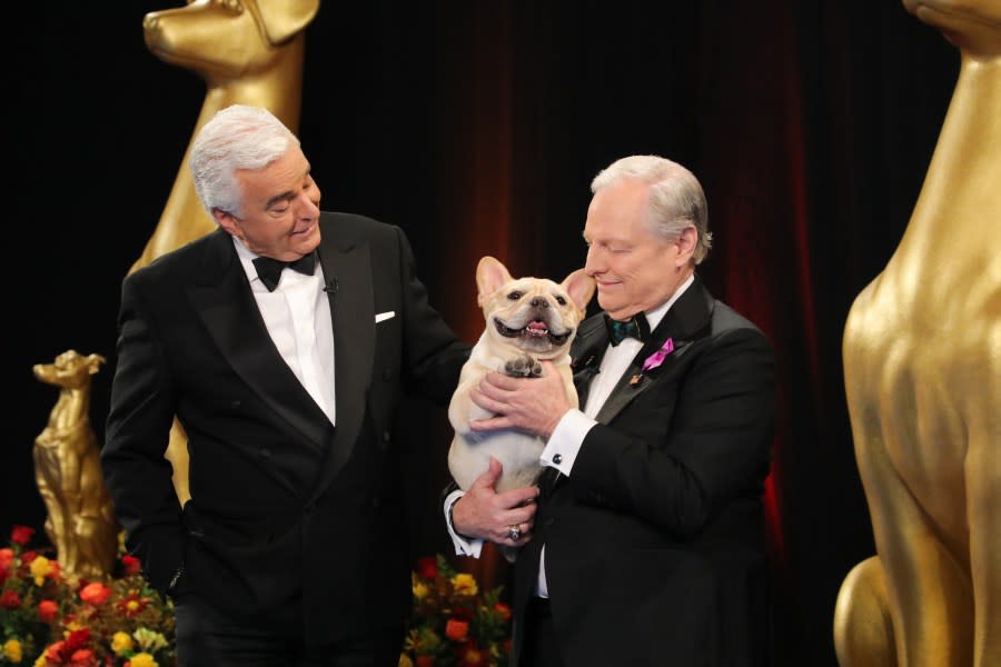 THE NATIONAL DOG SHOW PRESENTED BY PURINA -- 2023  -- Pictured: (l-r) John O'Hurley; French Bulldog, Winston, Best In Show 2022; David Frei -- (Photo by: Bill McCay/NBC)