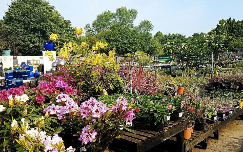 Adrian Hall Garden Centre best garden centres london - Adrian Hall Garden Centre