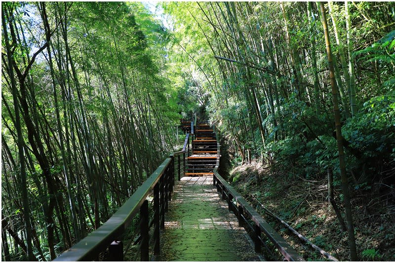 嘉義｜茶林山步道