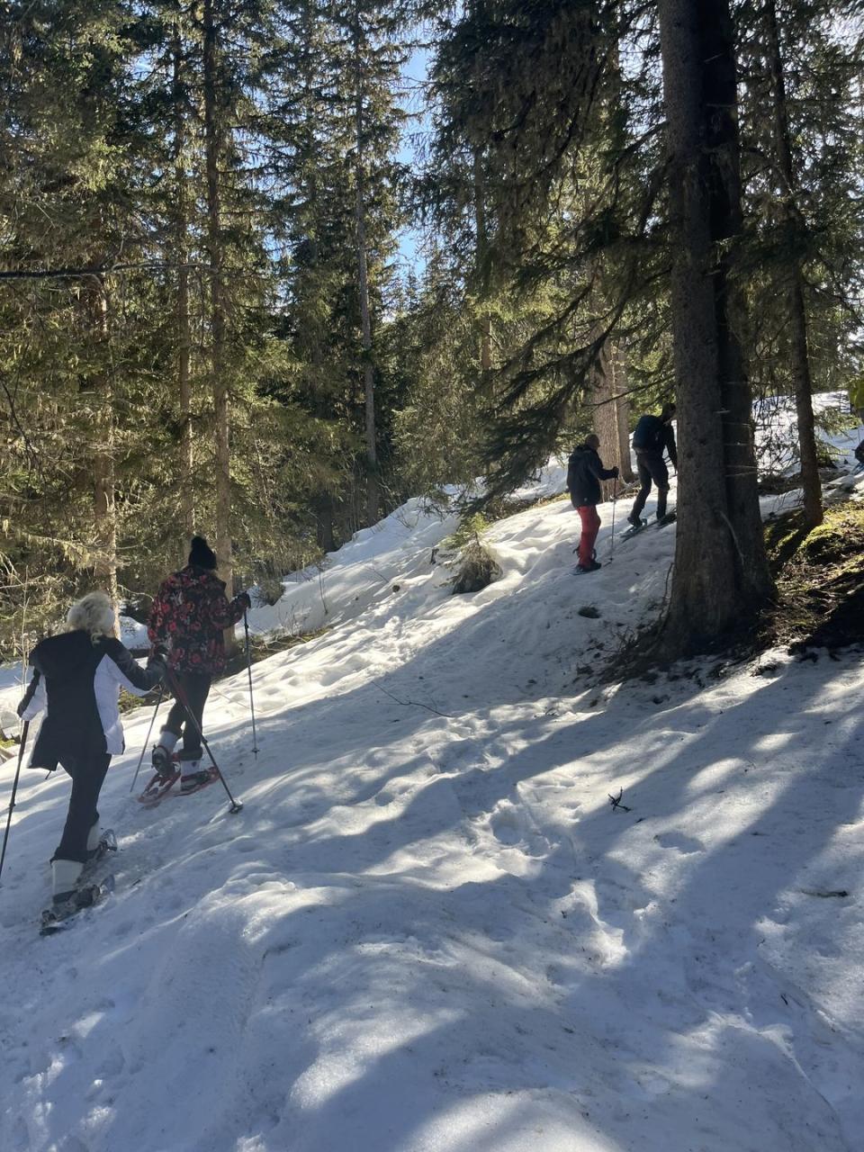 snowshoeing in meribel