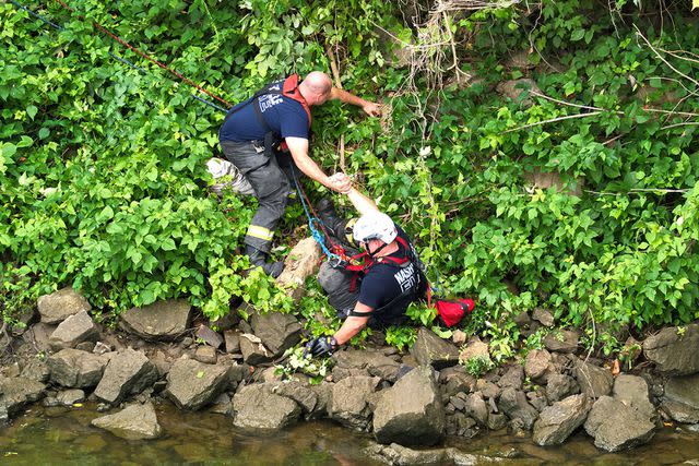 <p>Nashville FD/x</p> A public safety drone captured the moments NFD personnel searched for a missing woman near downtown Nashville