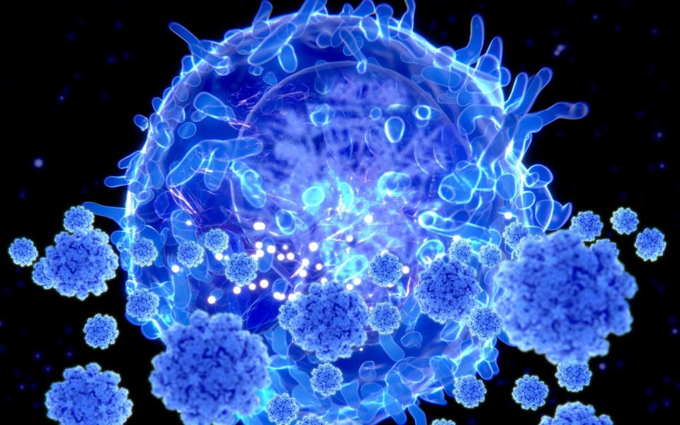 Scientists said more study was needed to establish if the coronavirus variant was more transmissible or could evade the immune system - iStockphoto