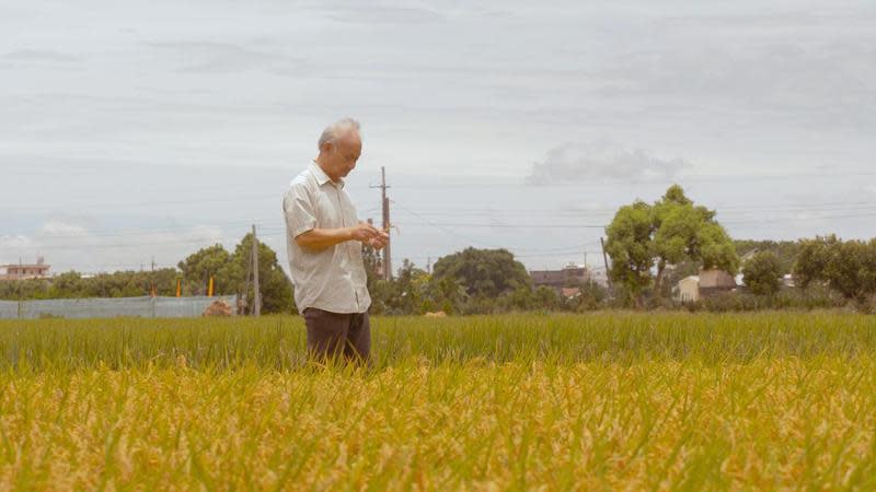 詩人吳晟在彰化溪州稻田。（目宿媒體提供）
