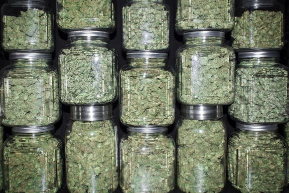 Jars filled with dried cannabis stacked on each other.