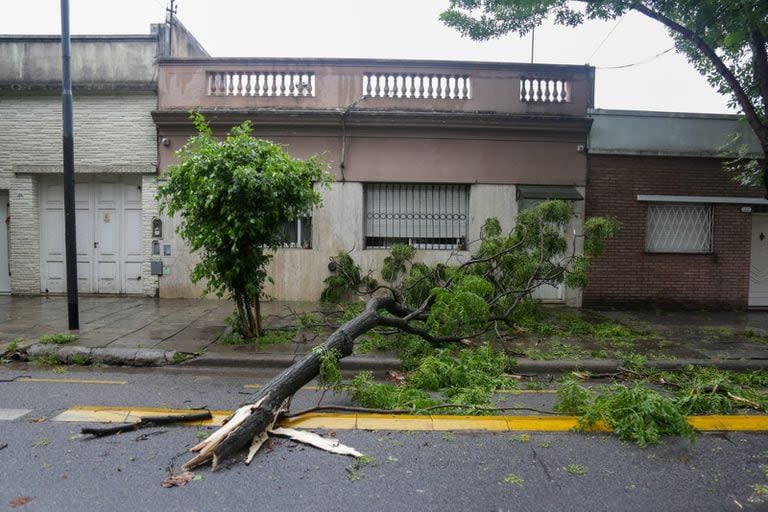 Manuela Pedraza y Valdenegro, Villa Urquiza