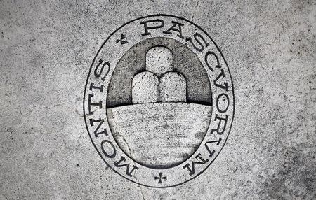 A logo of Monte dei Paschi di Siena bank is seen on the ground in downtown Siena, November 5, 2014. REUTERS/Giampiero Sposito