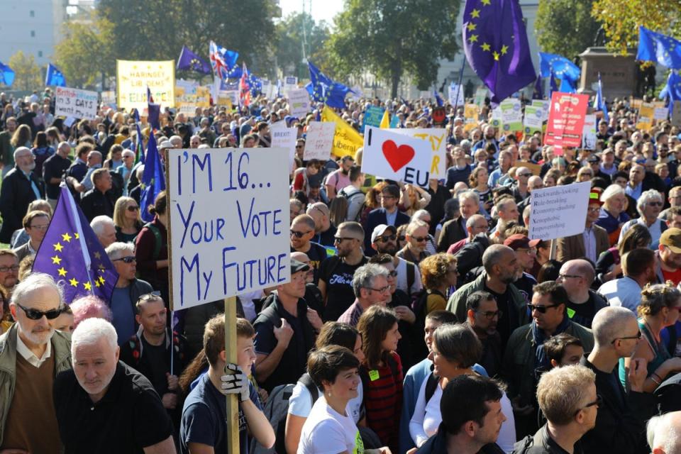 Young demonstrators with banners during the People's Vote in 2019 (EPA)