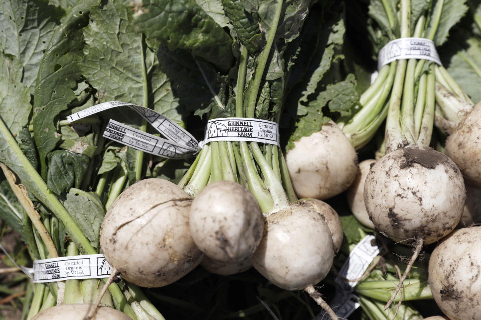 FILE - In this Monday, June 10, 2019, file photo, Hakurei turnips sit in a field after being harvested on Andrew Dunham's 80-acre organic farm, in Grinnell, Iowa. Tomatoes and turnips are among the winners for US seed company sales. In the year of the new coronavirus and new gardeners in droves trying to grow their own vegetables, tomatoes are still king. And in a twist, the respect-seeking turnip actually turned some heads. (AP Photo/Charlie Neibergall, File)