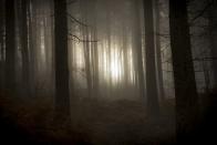 <p>The Haynesville Woods is home to the legend of <a href="https://www.onlyinyourstate.com/maine/urban-legends-me/" rel="nofollow noopener" target="_blank" data-ylk="slk:The Ghost Bride;elm:context_link;itc:0;sec:content-canvas" class="link ">The Ghost Bride</a>. The story goes that late one winter night, a newlywed couple were traveling, and the groom, who was kind of drunk, lost control of the car. The vehicle swerved off the road, hit a pole, and he died instantly. The bride survived the crash and crawled from the wreckage only to get lost in the isolated, snowy woods. She never made it out alive. </p><p>She is said to still haunt the very woods where she supposedly lost her life. Some even say they've spoken to her, but she vanishes shortly thereafter.</p>