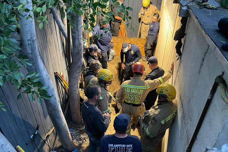 <p>LAPD HQ</p> Excavation of Carlos De Leon excavation