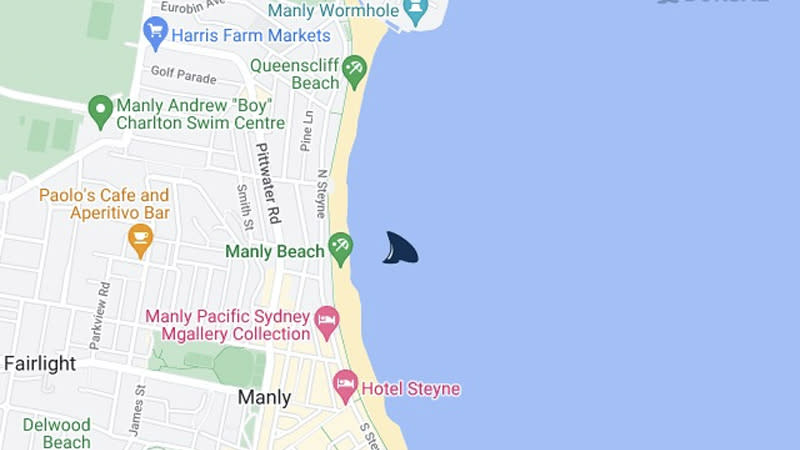 A shark fin can be seen on a map of Manly Beach, indicating the location of the tagged bull shark.