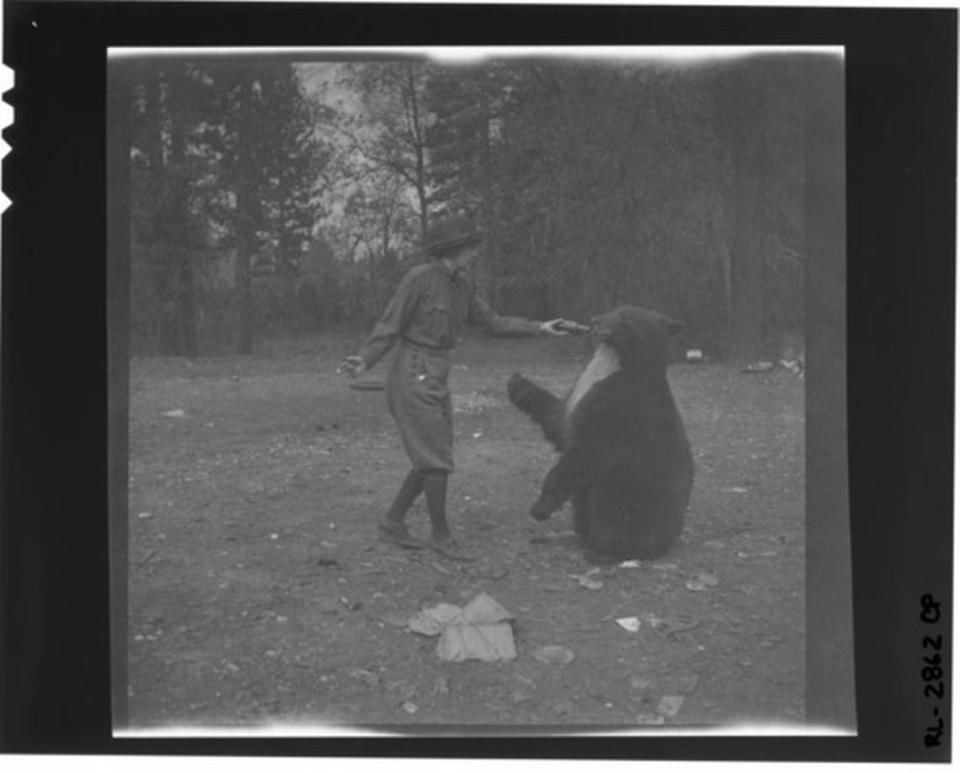 A woman feeds a bear from a bottle in Yosemite National Park on an unknown date.