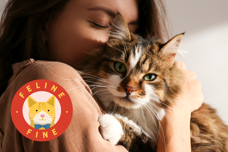 woman hugging cat with Feline Fine logo