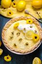 <p>From the braided crust to the honeycomb pattern to the little bees made with almond slivers and chocolate, we're buzzing over this gorgeous springtime pie. </p><p><a href="http://hostthetoast.com/honey-lemon-chiffon-pie/" rel="nofollow noopener" target="_blank" data-ylk="slk:Get the recipe from Host the Toast »;elm:context_link;itc:0;sec:content-canvas" class="link "><em>Get the recipe from Host the Toast »</em></a></p>