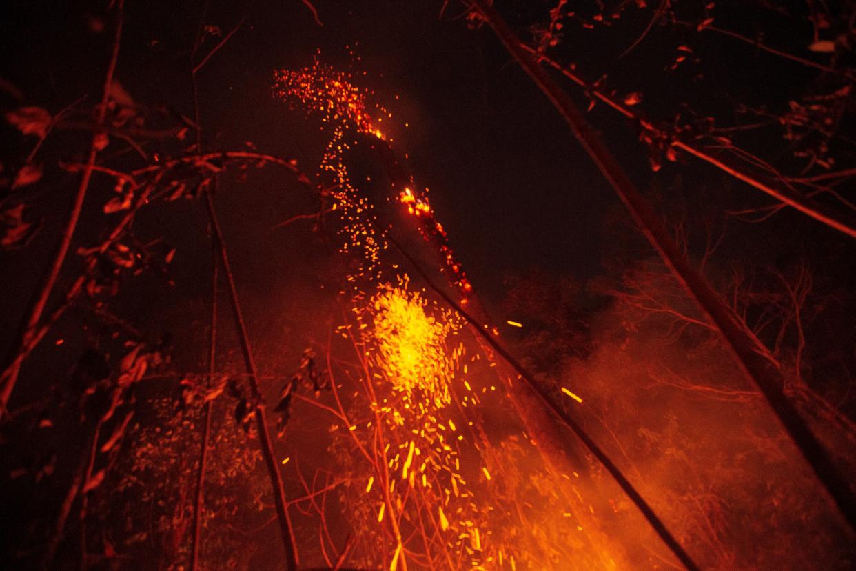 A large area of jungle is consumed by the flames of one of the great fires that plague the Amazon near Porto Velho on Aug. 24, 2019. (Photo: Joedson Alves/EFE via ZUMA Press)