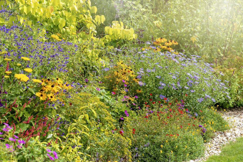 15 Plants That Give You More Bang for Your Buck