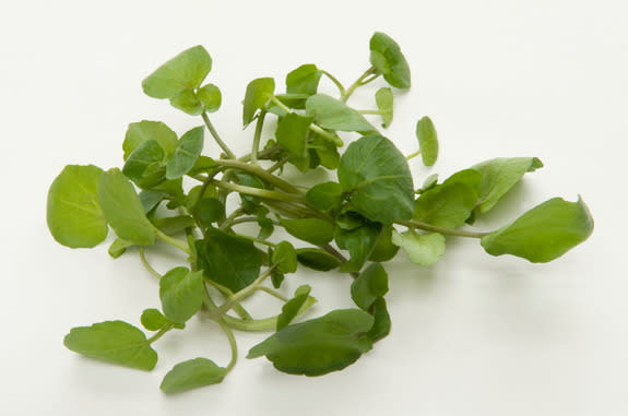 watercress