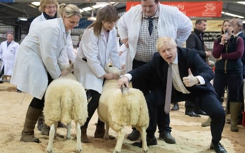 Boris Johnson visits the Royal Welsh Showground, in Llanelwedd, Builth Wells - Credit: Stefan Rousseau/PA