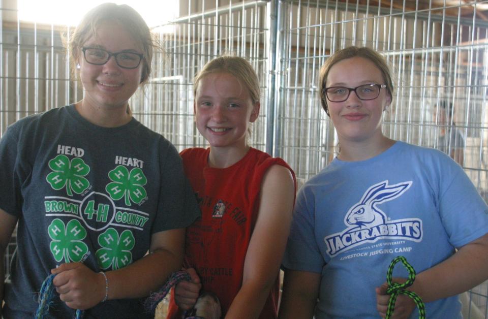 4-H members, from left, Anna Johnson, Ada Sharp and Abi Jo Johnson work together during the summer to care for the goats they show at the Brown County Fair.