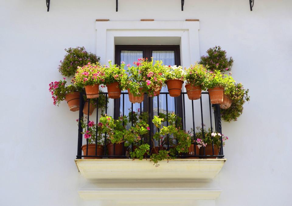 The Best Balcony Plants That'll Turn Your Outdoor Space into a Green Dream