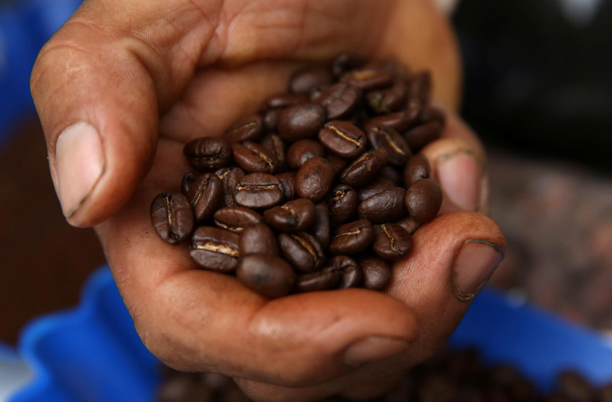 Coffee is grown. Кофе Бразилия. Сбор кофе. Сбор кофе в Бразилии. Кофе Перу.