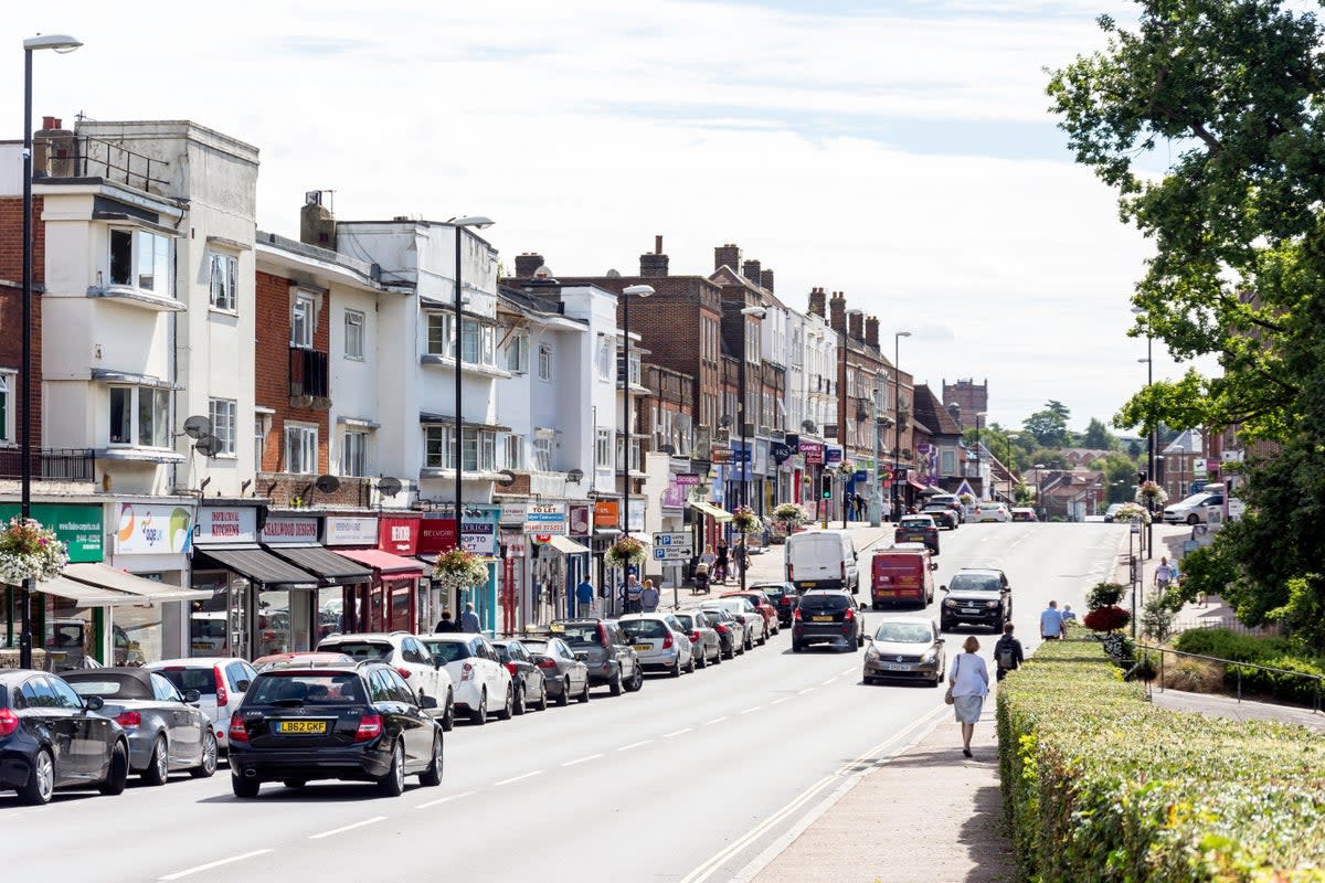 Haywards Heath is the first European town to sign up for the plant-based treaty (Alamy Stock Photo)