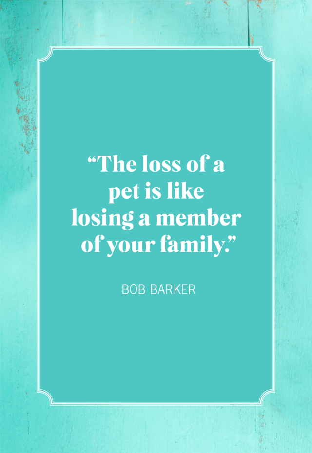 family loss quotes