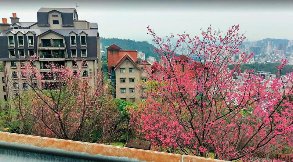 林志玲為了讓父母有好的居住環境，2013年刻意選在木柵「昇陽田田」添購新宅，並一起搬過去同住。（翻攝自Google Map）