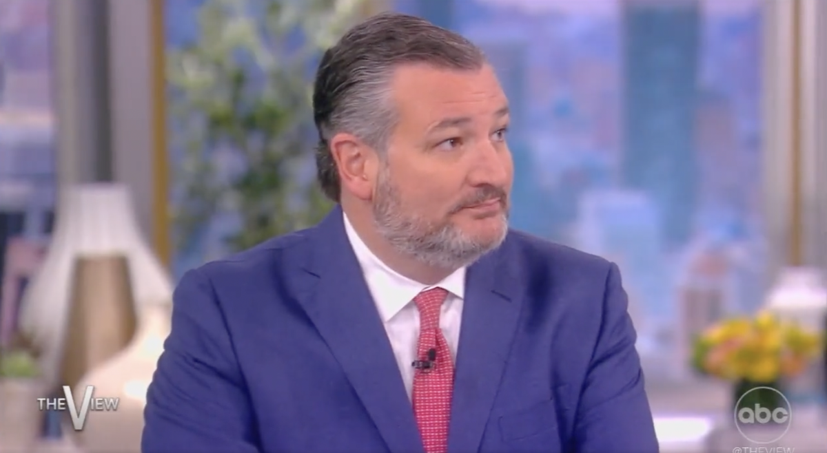 El senador de Texas Ted Cruz en el programa de entrevistas The View, el lunes, mientras los manifestantes contra el cambio climático interrumpen el programa (ABC)