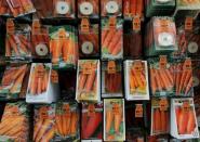 Carrot seeds are seen on sale at the 'Garden' department at a store of the OBI retailer in the suburbs of Moscow, Russia, April 6, 2016. REUTERS/Maxim Shemetov