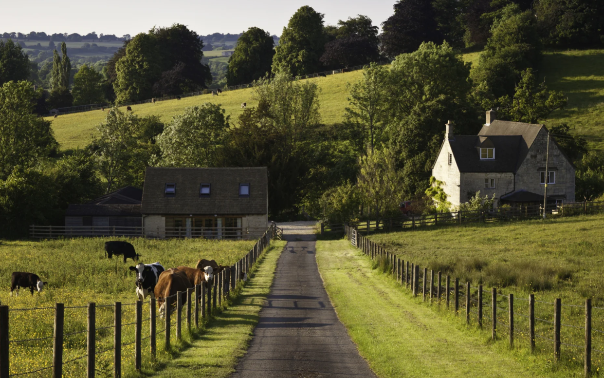 All Things Butter is manufactured by Brue Valley Farm in Somerset, a production process that still uses traditional butter-making methods. Photo: All Things Butter