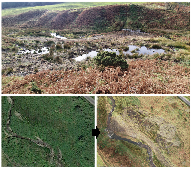 An image of a newly dug pond above before and after images of a floodplain with ponds near the main river.