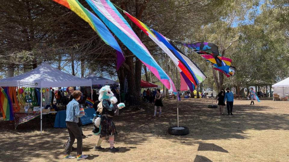 LGBTQ+ pride flags blow in the wind at the San Luis Obispo PrideFest on Sunday, May 22, 2022.