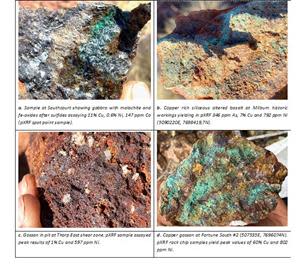 Milburn Cu soil geochemistry (pXRF) and VTEM conductors (white dashed circles).