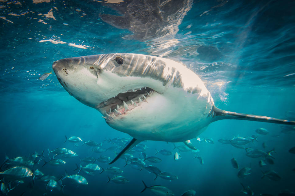 Callous loan sharks often resort to violence or crime to get their money back (Brad Leue/Barcroft Media via Getty Images)