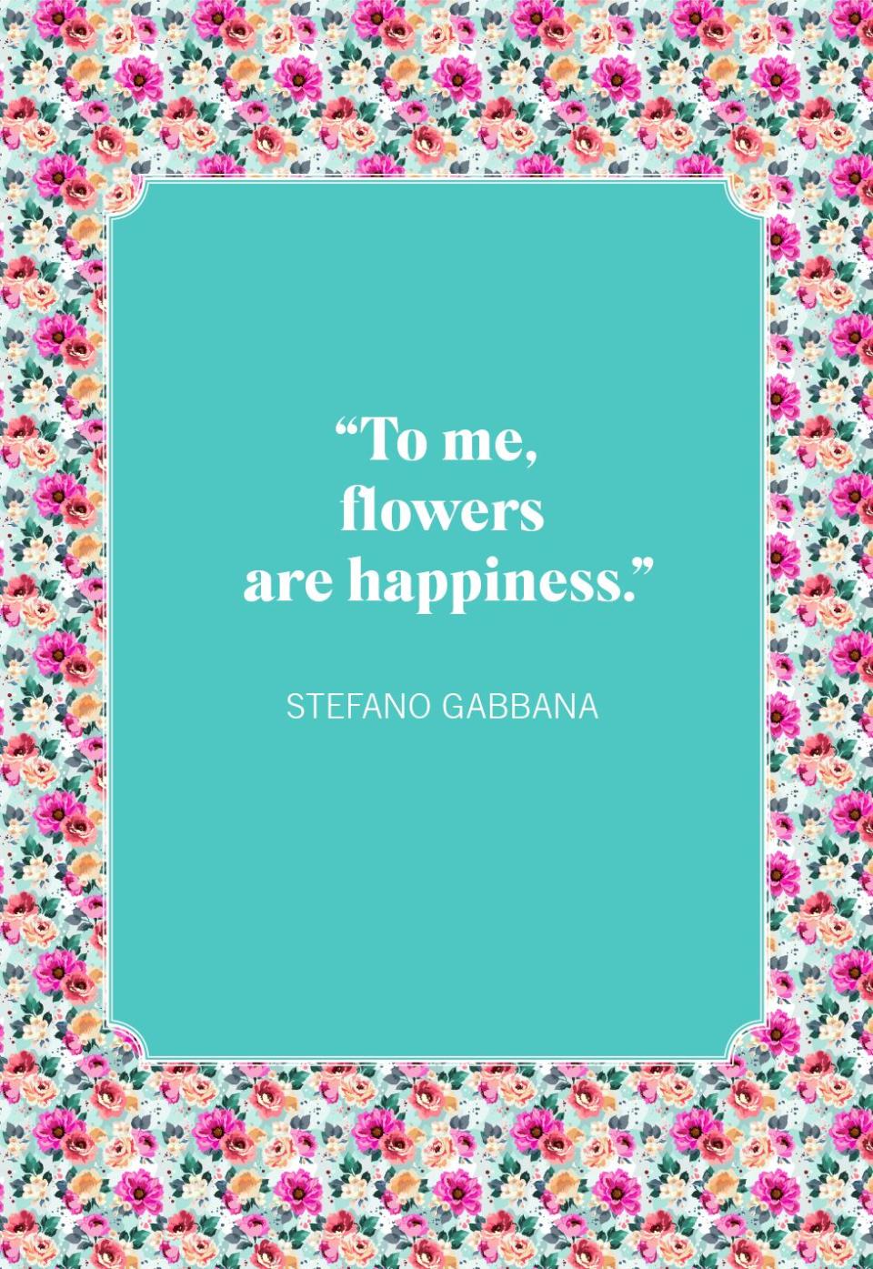 stefano gabbana flower quotes