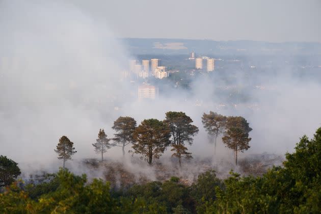 A large wildfire in woodland at Lickey Hills Country Park on the edge of Birmingham in July. (Photo: Jacob King via PA Wire/PA Images)