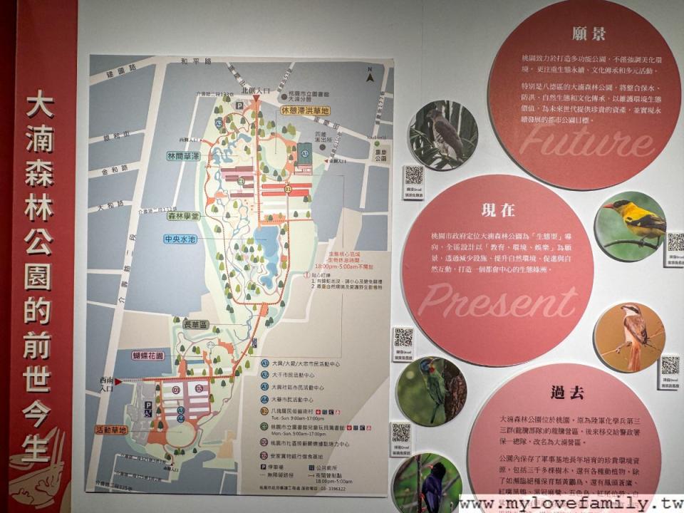 桃園大湳森林公園