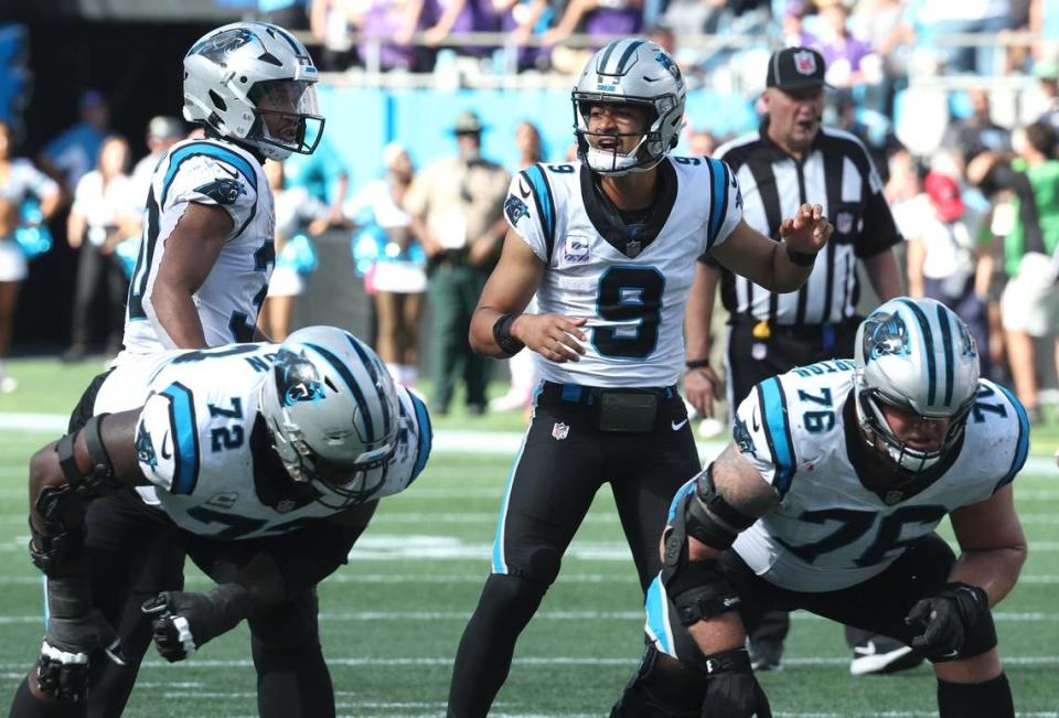 Carolina Panthers quarterback Bryce Young yells instructions to the line during fourth quarter action against the Minnesota Vikings at Bank of America Stadium on Sunday, October 1, 2023. The Vikings defeated the Panthers 21-13.