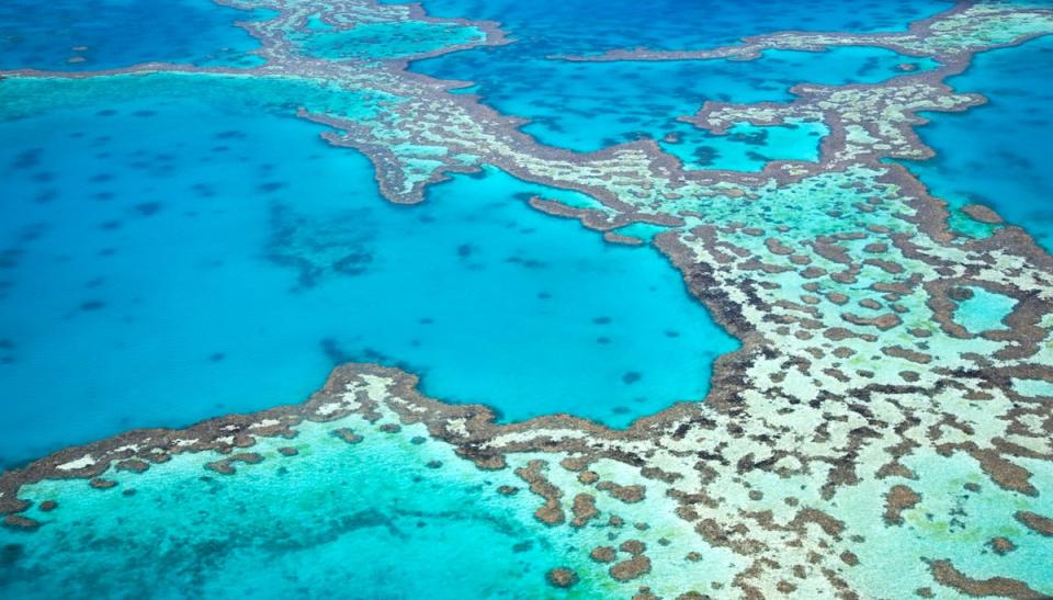 Cairns is the main access point for reaching the Great Barrier Reef (Getty Images)