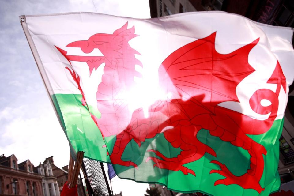 Plaid Cymru supports Welsh nationalism (Adam Davy / PA)