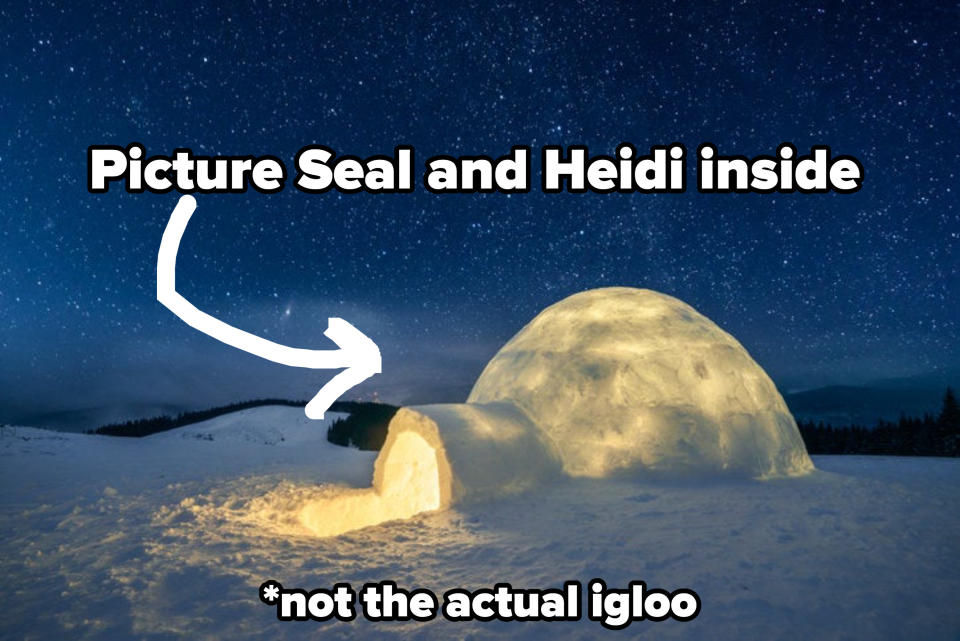 igloo (but not the actual igloo) with an arrow pointing to it and the words "picture seal and heidi inside"