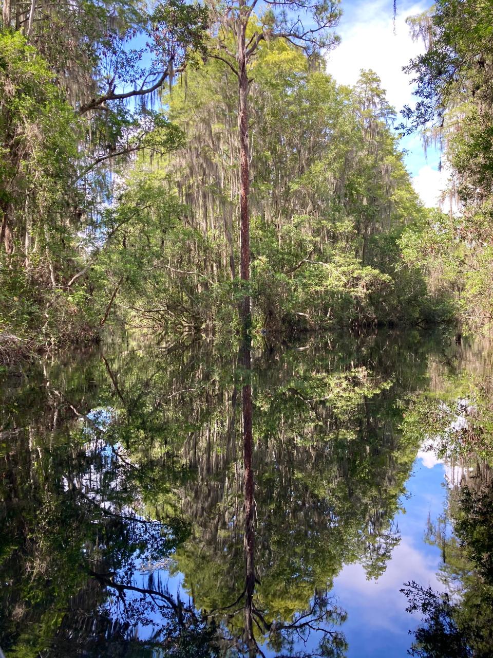 Junction of main canal and blue trail at Okefenokee Swamp.
