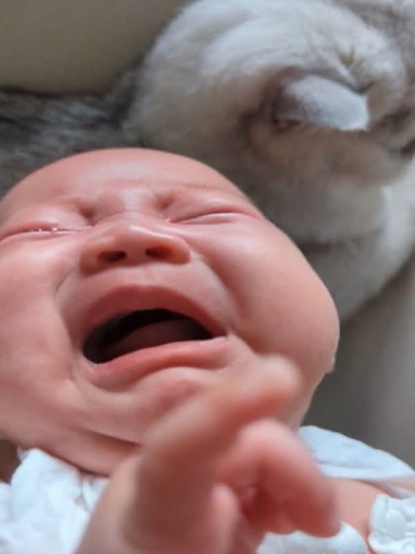 ▲這天小嬰兒正在哇哇大哭。（圖／Reddit帳號reallyumt）