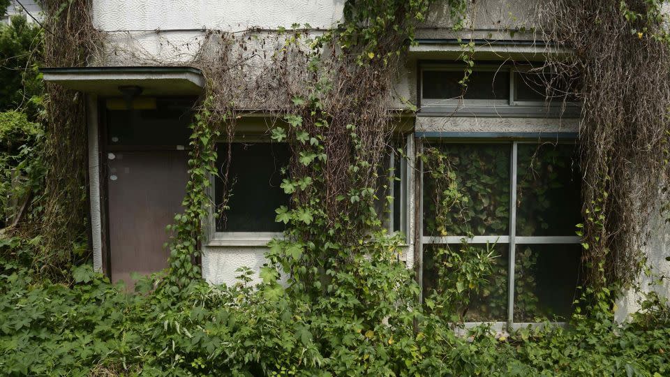 پوشش گیاهی بیش از حد یک خانه خالی را در منطقه یاتو در شهر یوکوسوکا، استان کاناگاوا، ژاپن، در 21 اوت 2013 احاطه کرده است. - Akio Kon/Bloomberg/Getty Images/File