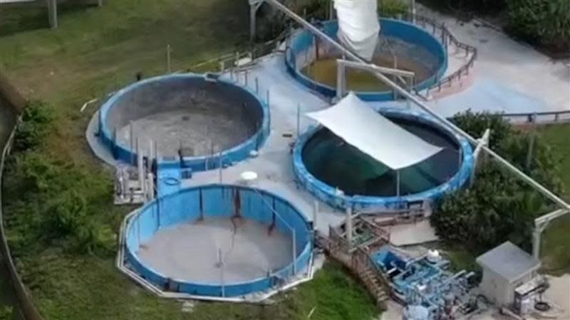 Pompano Pools at Miami Seaquarium where Romeo the manatee was living. He is being relocated after a video of his living conditions went viral.