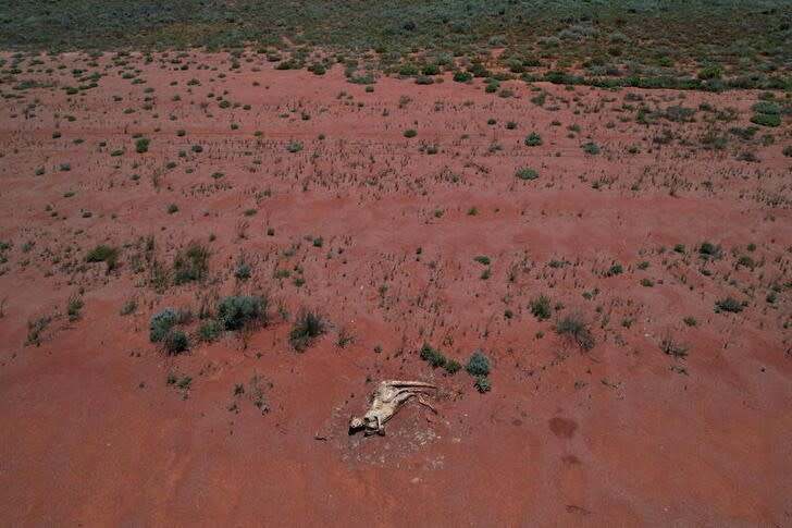 Wider Image: Una oración desde el cielo: pastor australiano que pilota sobre el campo despega de nuevo
