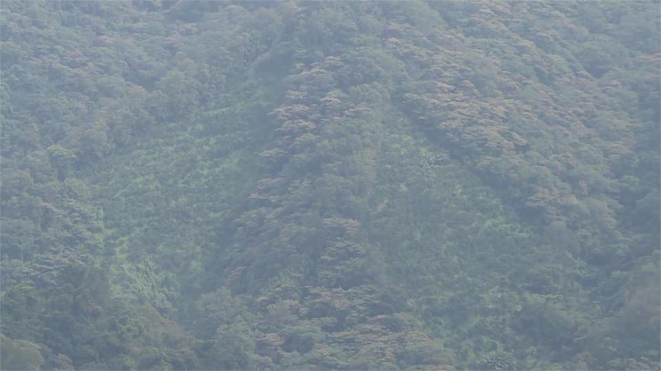 中坑山對面「神秘箭頭」直指天空　山友驚呼狂拍