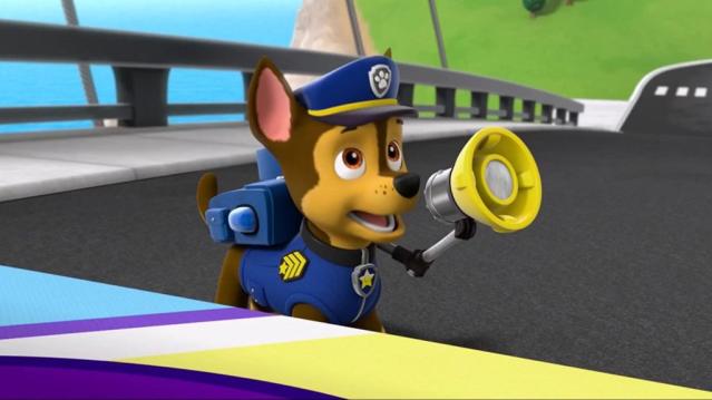 What Are The Dog Breeds Of The Paw Patrol Characters?