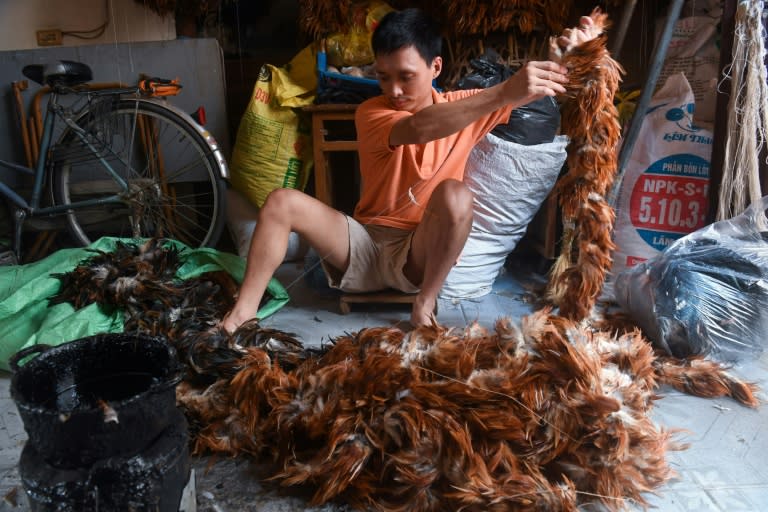 Nguyen Huy Tho's family has been making chicken feather dusters -- a staple in Vietnamese homes -- for more than a century